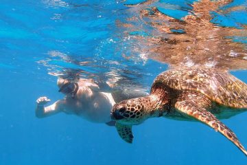 a man snorkeling beside a sea turtle in blue water